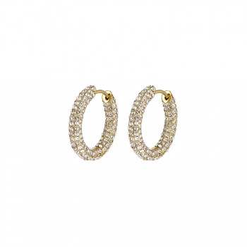 Iris Crystal Earring Clear/Gold