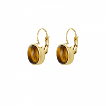 Retro Earring Brown/Gold