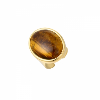 Retro Big Ring Brown/Gold