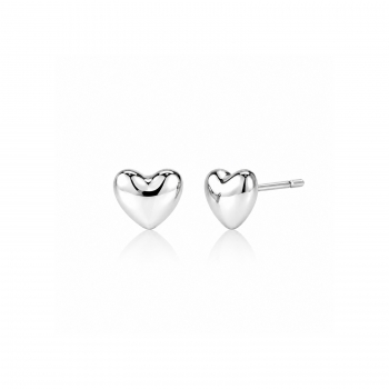 Dawn earring steel
