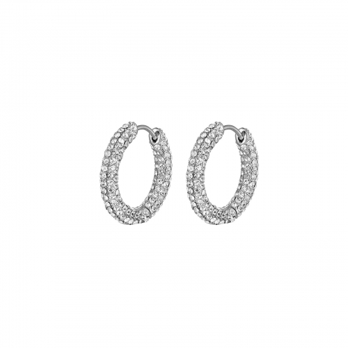 Iris Crystal Earring Clear/Silver